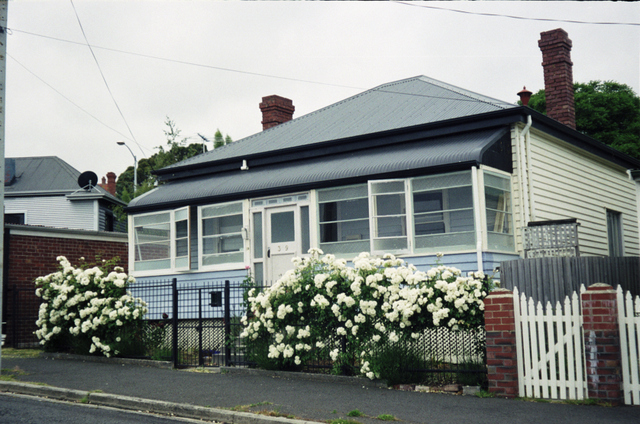 The house with its new roof and the front fence overgrown with Iceberg roses