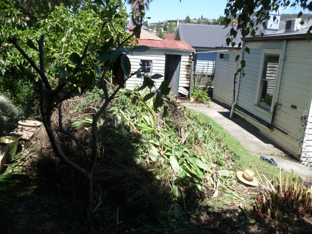 Clearing the garden to make way for renovations, early 2011