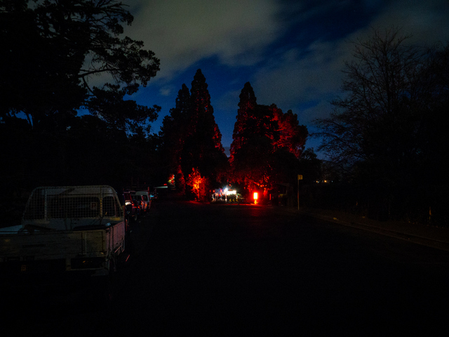 Dark Path at the Royal Tasmanian Botanical Gardens
