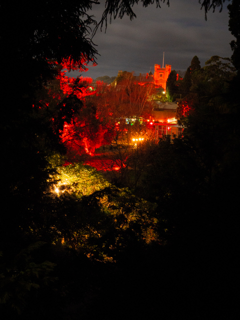 Government House from Dark Path at the Botanical Gardens