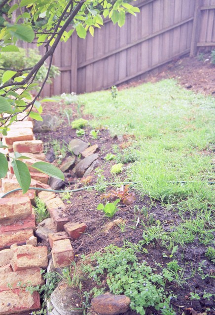 The soon-to-be herb garden