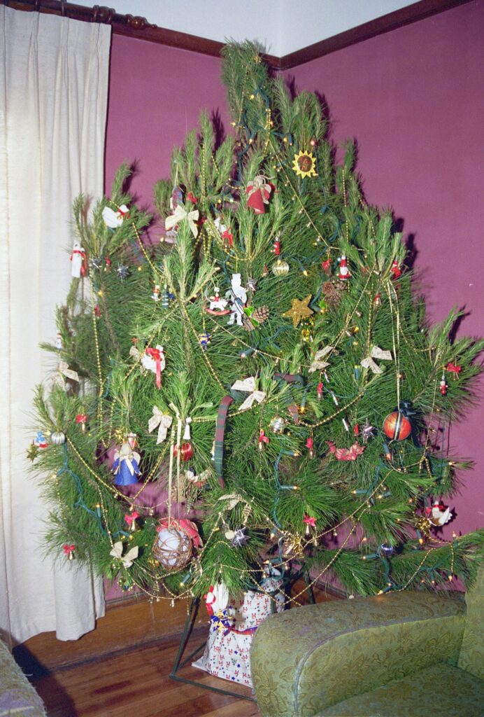Christmas 1995, in the redecorated lounge room