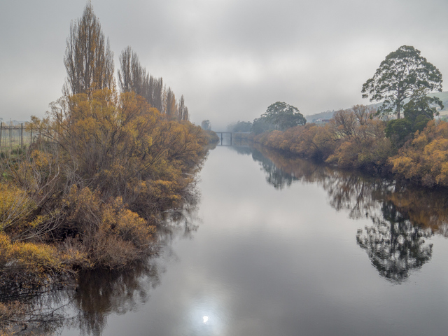 The River Derwent at Bushy Park under a Bridgewater Jerry fog