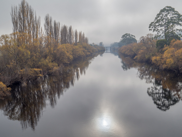 The River Derwent at Bushy Park under a Bridgewater Jerry fog