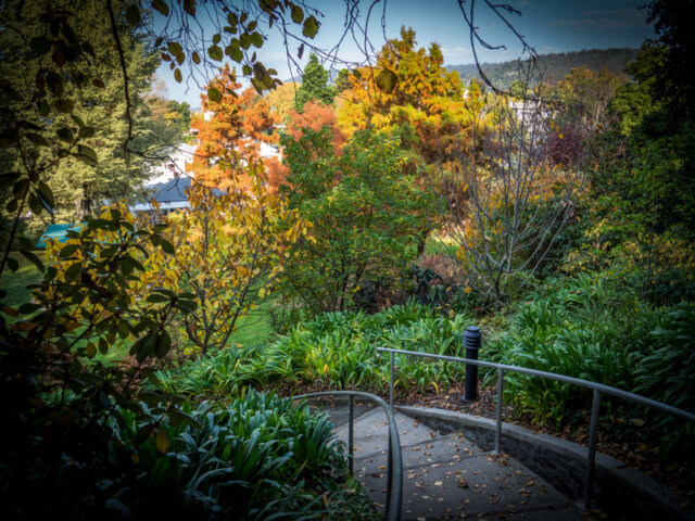 Autumn in Fitzroy Gardens, South Hobart