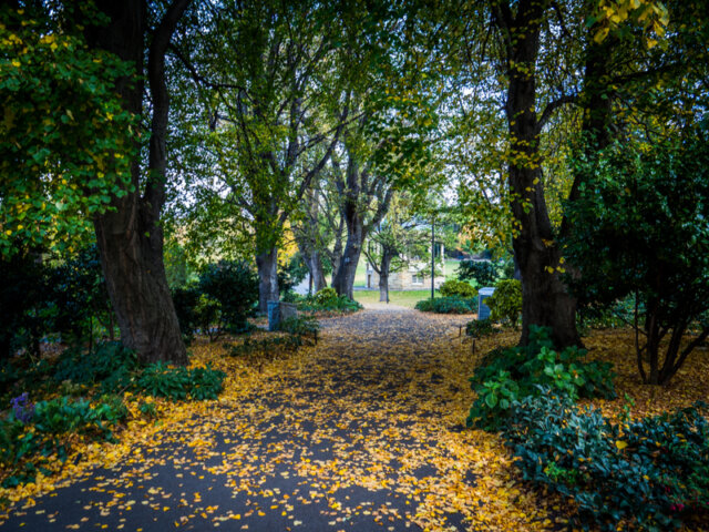 Saint Davids Park, Hobart in Autumn