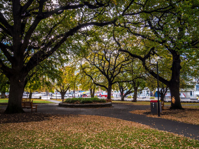 Autumn leaves in Parliament Gardens, Hobart
