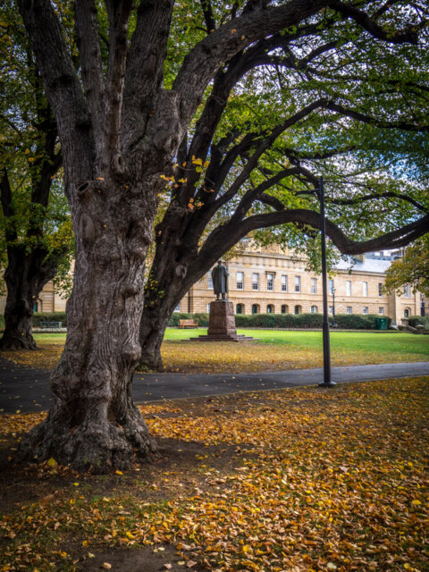 Autumn leaves in Parliament Gardens, Hobart